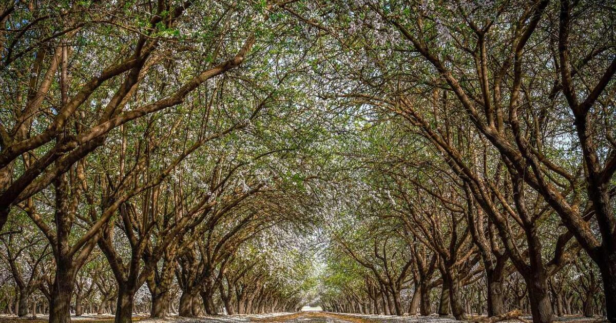 The Central Valley Outdoors: What It Actually Looks Like Out Here